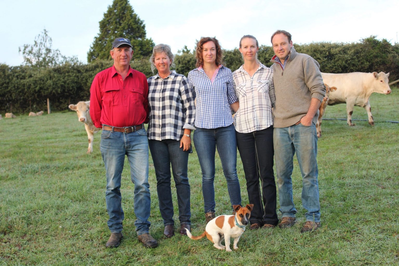 Home - Wakefield Charolais