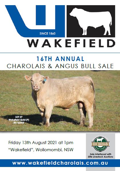 wakefield bull sale catalogue 2021